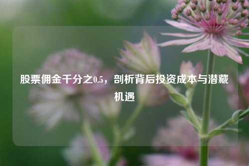 股票佣金千分之0.5，剖析背后投资成本与潜藏机遇