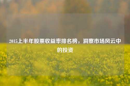 2015上半年股票收益率排名榜，洞察市场风云中的投资