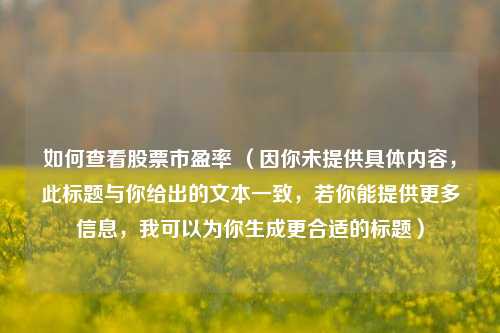 如何查看股票市盈率 （因你未提供具体内容，此标题与你给出的文本一致，若你能提供更多信息，我可以为你生成更合适的标题）