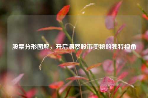 股票分形图解，开启洞察股市奥秘的独特视角