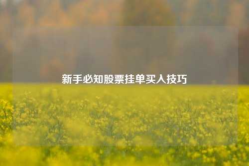 新手必知股票挂单买入技巧