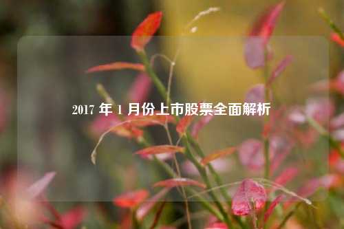 2017 年 1 月份上市股票全面解析