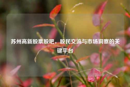 苏州高新股票股吧，股民交流与市场洞察的关键平台
