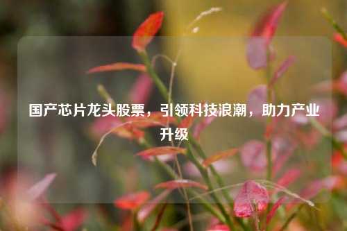 国产芯片龙头股票，引领科技浪潮，助力产业升级