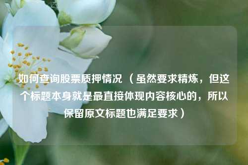 如何查询股票质押情况 （虽然要求精炼，但这个标题本身就是最直接体现内容核心的，所以保留原文标题也满足要求）