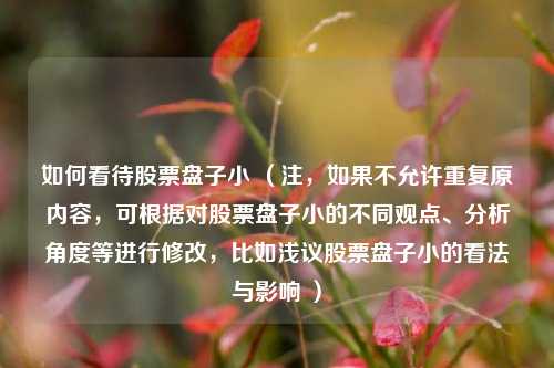 如何看待股票盘子小 （注，如果不允许重复原内容，可根据对股票盘子小的不同观点、分析角度等进行修改，比如浅议股票盘子小的看法与影响 ）