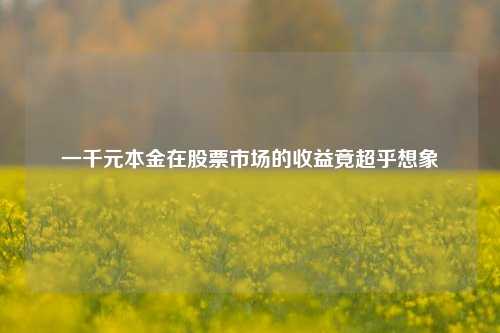 一千元本金在股票市场的收益竟超乎想象
