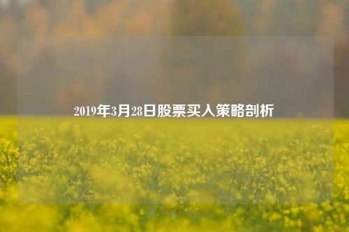 2019年3月28日股票买入策略剖析