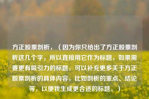方正股票剖析,(因为你只给出了方正股票剖析这几个字,所以直接用它作为标题,如果需要更有吸引力的标题,可以补充更多关于方正股票剖析的具体内容,比如剖析的重点、结论等,以便我生成更合适的标题。)