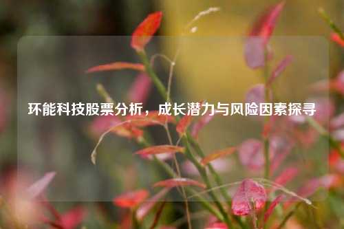 环能科技股票分析，成长潜力与风险因素探寻