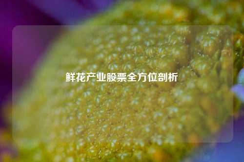 鲜花产业股票全方位剖析