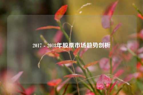 2017 - 2018年股票市场趋势剖析