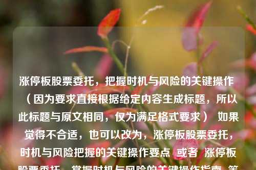 涨停板股票委托,把握时机与风险的关键操作 (因为要求直接根据给定内容生成标题,所以此标题与原文相同,仅为满足格式要求) 如果觉得不合适,也可以改为,涨停板股票委托,时机与风险把握的关键操作要点 或者 涨停板股票委托,掌握时机与风险的关键操作指南 等,你可根据喜好选择