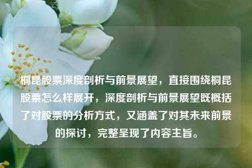 桐昆股票深度剖析与前景展望,直接围绕桐昆股票怎么样展开,深度剖析与前景展望既概括了对股票的分析方式,又涵盖了对其未来前景的探讨,完整呈现了内容主旨。