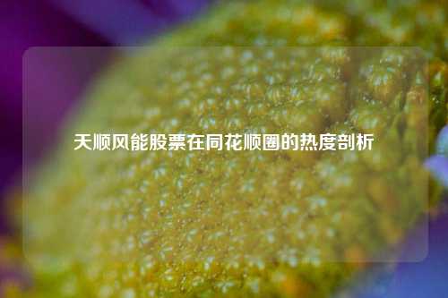 天顺风能股票在同花顺圈的热度剖析