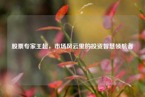 股票专家王超，市场风云里的投资智慧领航者
