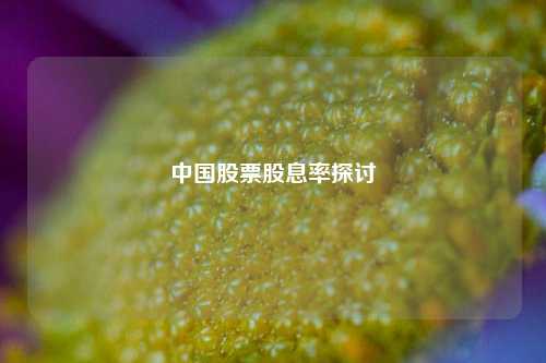 中国股票股息率探讨