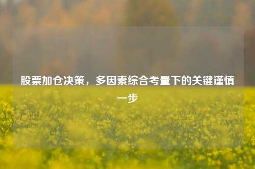 股票加仓决策，多因素综合考量下的关键谨慎一步
