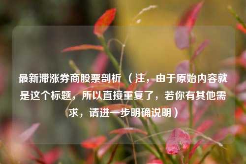 最新滞涨券商股票剖析 （注，由于原始内容就是这个标题，所以直接重复了，若你有其他需求，请进一步明确说明）