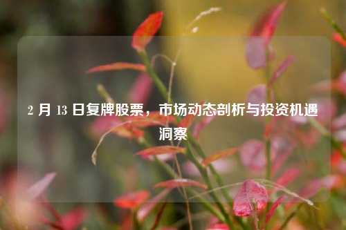2 月 13 日复牌股票,市场动态剖析与投资机遇洞察