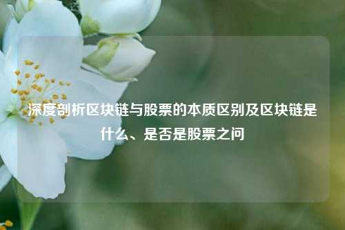深度剖析区块链与股票的本质区别及区块链是什么、是否是股票之问