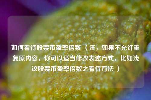 如何看待股票市盈率倍数 (注,如果不允许重复原内容,你可以适当修改表述方式,比如浅议股票市盈率倍数之看待方法 )