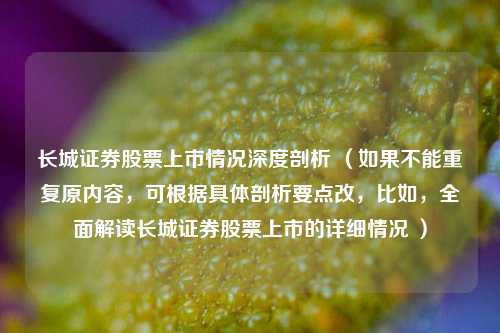 长城证券股票上市情况深度剖析 （如果不能重复原内容，可根据具体剖析要点改，比如，全面解读长城证券股票上市的详细情况 ）