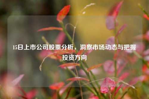 15日上市公司股票分析,洞察市场动态与把握投资方向