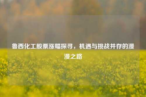 鲁西化工股票涨幅探寻，机遇与挑战并存的漫漫之路