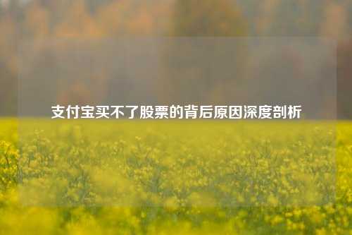 支付宝买不了股票的背后原因深度剖析