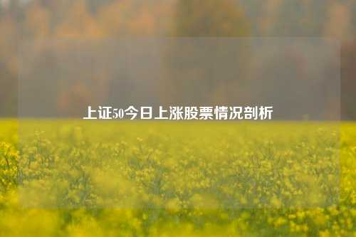 上证50今日上涨股票情况剖析