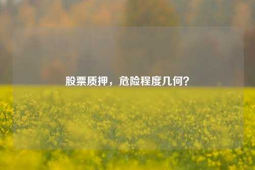 股票质押，危险程度几何？