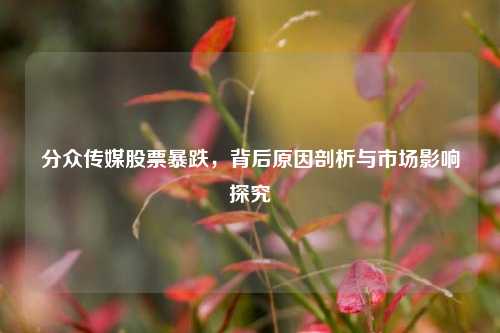 分众传媒股票暴跌，背后原因剖析与市场影响探究
