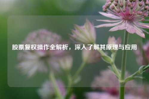 股票复权操作全解析，深入了解其原理与应用