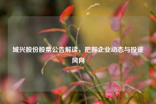 城兴股份股票公告解读,把握企业动态与投资风向