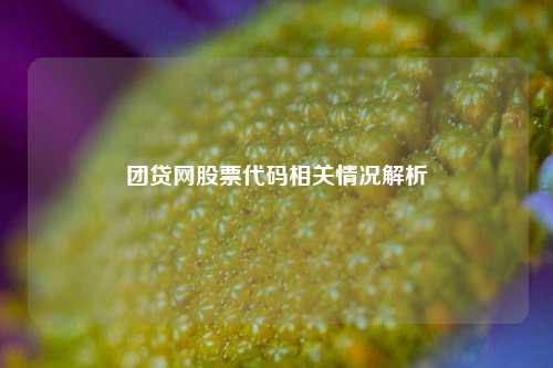 团贷网股票代码相关情况解析