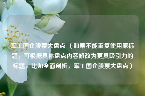 军工国企股票大盘点 （如果不能重复使用原标题，可根据具体盘点内容修改为更具吸引力的标题，比如全面剖析，军工国企股票大盘点）