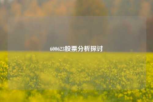 600623股票分析探讨