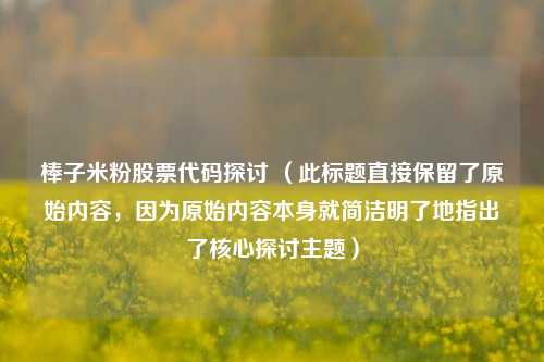 棒子米粉股票代码探讨 (此标题直接保留了原始内容,因为原始内容本身就简洁明了地指出了核心探讨主题)