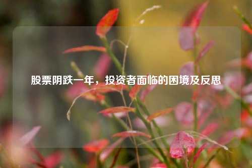 股票阴跌一年，投资者面临的困境及反思