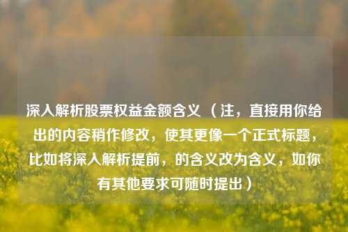 深入解析股票权益金额含义 (注,直接用你给出的内容稍作修改,使其更像一个正式标题,比如将深入解析提前,的含义改为含义,如你有其他要求可随时提出)