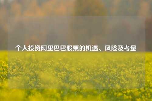 个人投资阿里巴巴股票的机遇、风险及考量