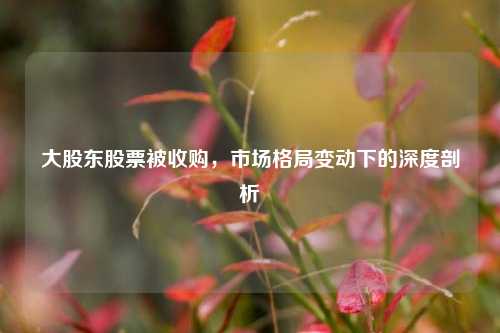 大股东股票被收购，市场格局变动下的深度剖析