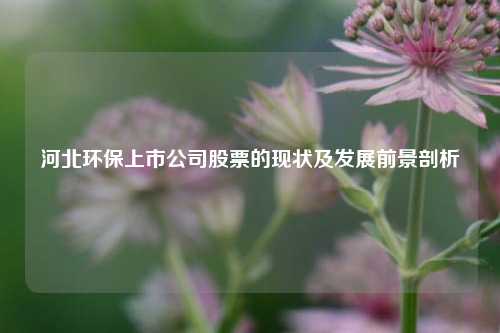 河北环保上市公司股票的现状及发展前景剖析
