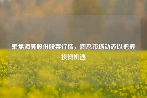 聚焦海亮股份股票行情，洞悉市场动态以把握投资机遇