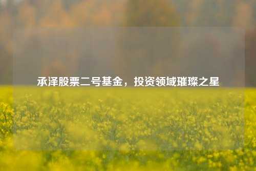承泽股票二号基金，投资领域璀璨之星