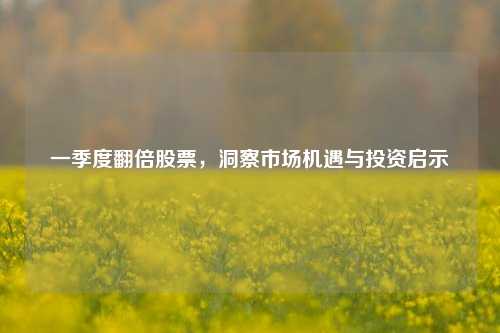 一季度翻倍股票，洞察市场机遇与投资启示