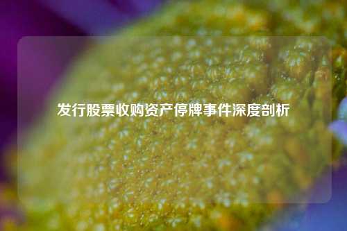 发行股票收购资产停牌事件深度剖析