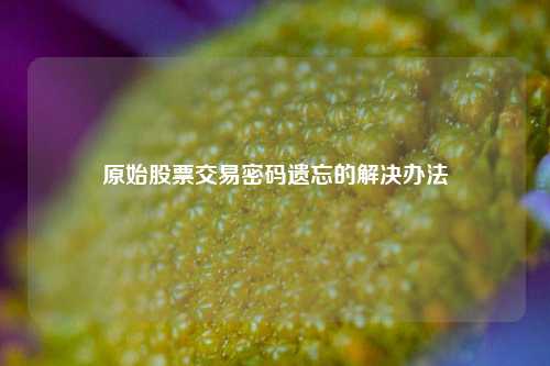 原始股票交易密码遗忘的解决办法