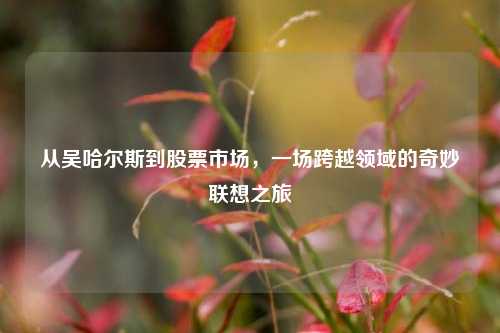从吴哈尔斯到股票市场,一场跨越领域的奇妙联想之旅